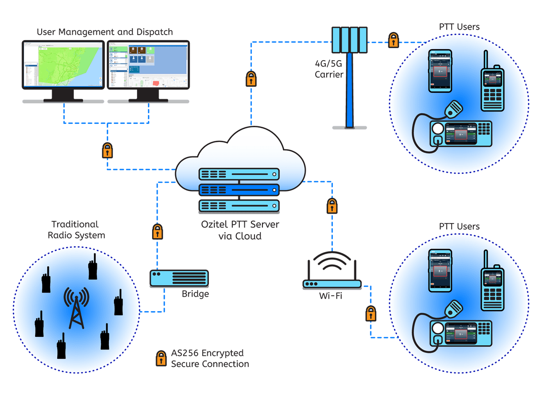 Ozitel Networks Diagram